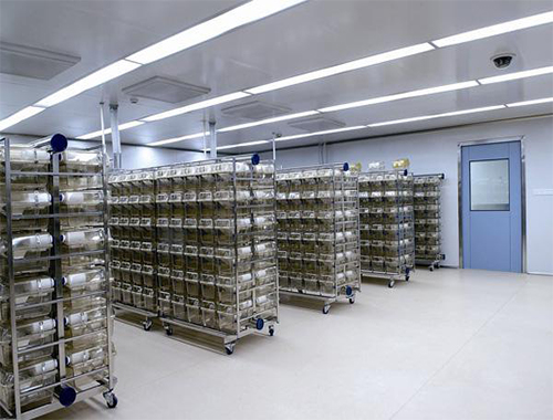 動物房設(shè)計、SPF動物房設(shè)計